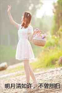 明月清如许，不曾照归人热门榜单