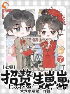 七零招赘生崽崽，娃揣上，人跑了