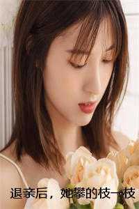退亲后，她攀的枝一枝比一枝高贺泽舟沈明月