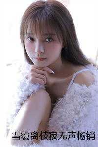 雪覆离枝寂无声畅销