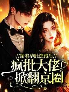 揣着孕肚逃跑后，疯批大佬掀翻京圈精品选集