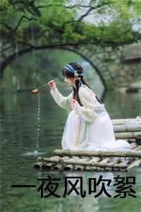 一夜风吹絮