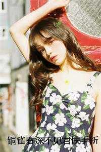 铜雀春深不见君快手新书