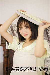 铜雀春深不见君彩蛋