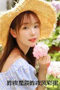 昨夜星辰昨夜风彩蛋