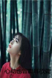 心动也曾震耳欲聋