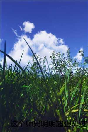 这个师兄明明超强却过分谦虚