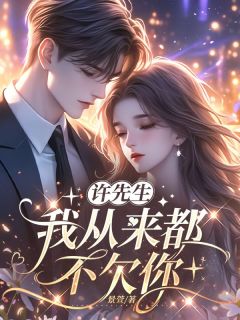 许先生,我从来都不欠你