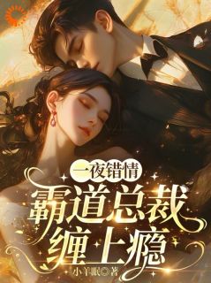 一夜错情，霸道总裁缠上瘾