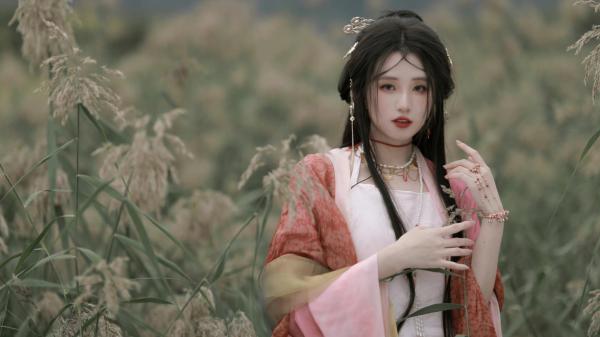 月光曾披满我身：结局+后续江宁夏完本在线小说免费阅读
